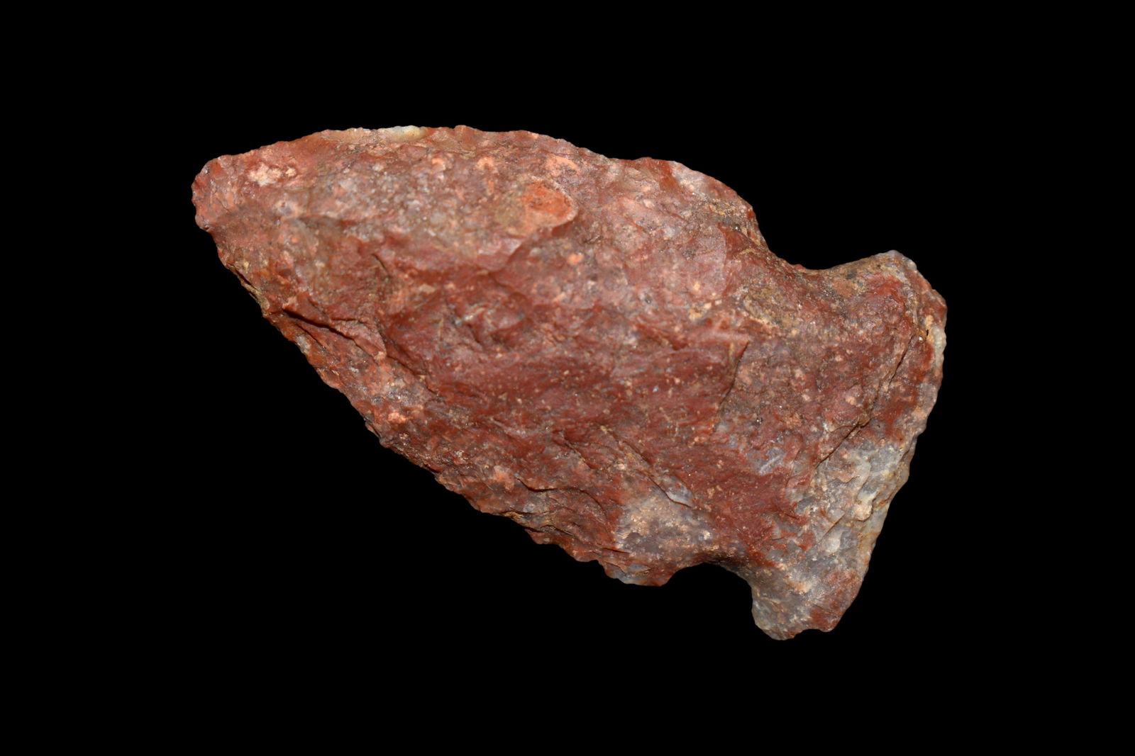 1 1/2" Super COlorful Robbins, found in Johnson CO., (1 of 5)