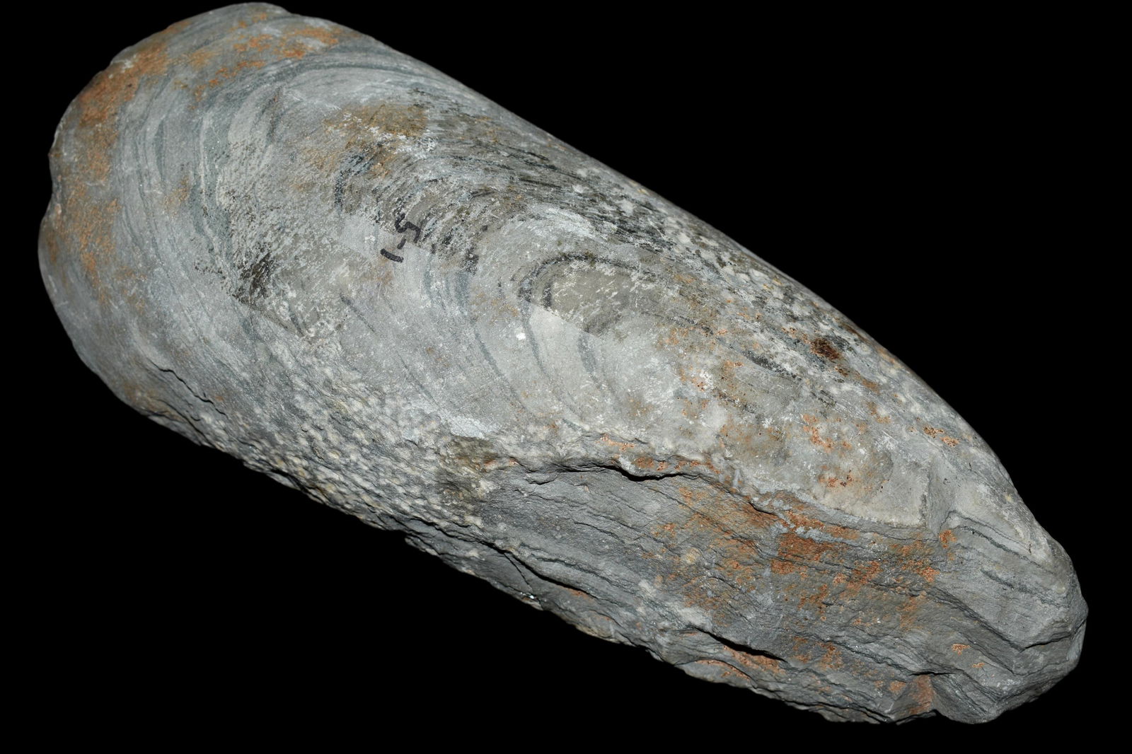 7 1/2" Slate Celt found in Johnson CO., Illinois on the (1 of 6)