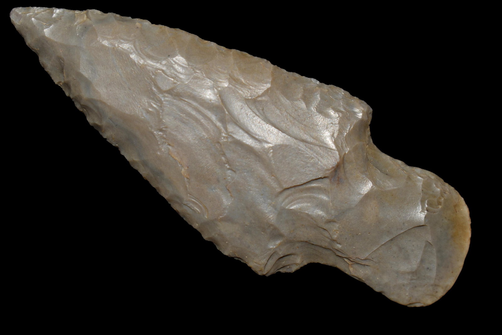 3" Turkeytail made of Hornstone, Ex. Gerald Bernacchi (1 of 4)