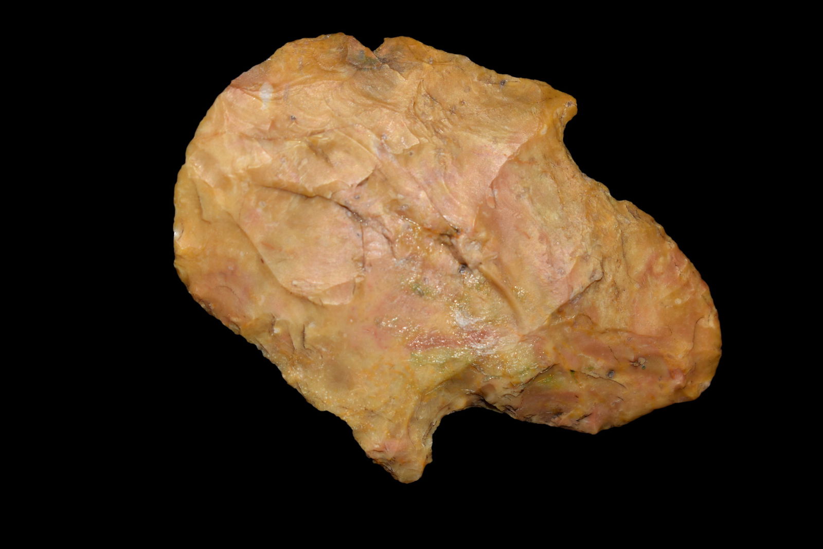 1 3/4" Beavertail Blunt, Ex. Gerald Bernacchi Coll. (1 of 4)