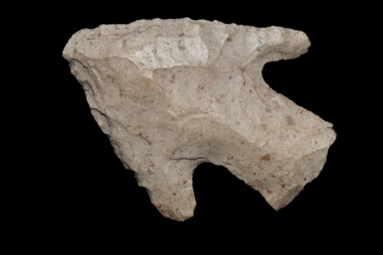 2" Etley, Ex. Gerald Bernacchi Coll. Authentic Native (1 of 4)