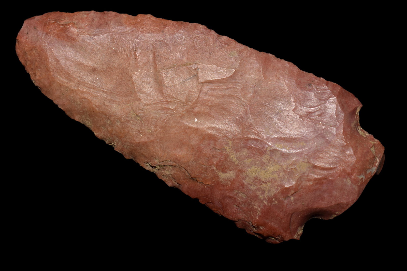 2 3/4" Snap Base, found near the Tennessee River in (1 of 4)