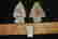 item-107343916=2