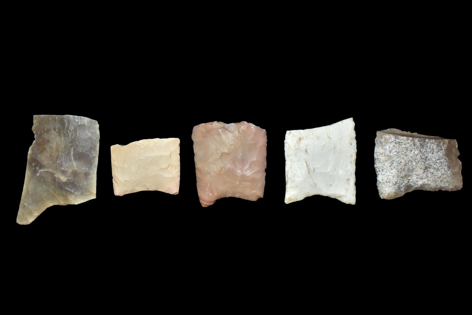 Grouping of Quality Paleo Bases, May inlcude: Grouping of Quality Paleo Bases, May inlcude high-plains, cody or clovis examples, Ex. Beau Spicer Coll.