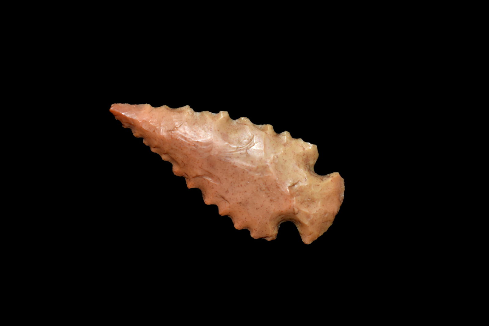 1 1/8" Highly Serrated Birdpoint found in Madison Co., (1 of 5)