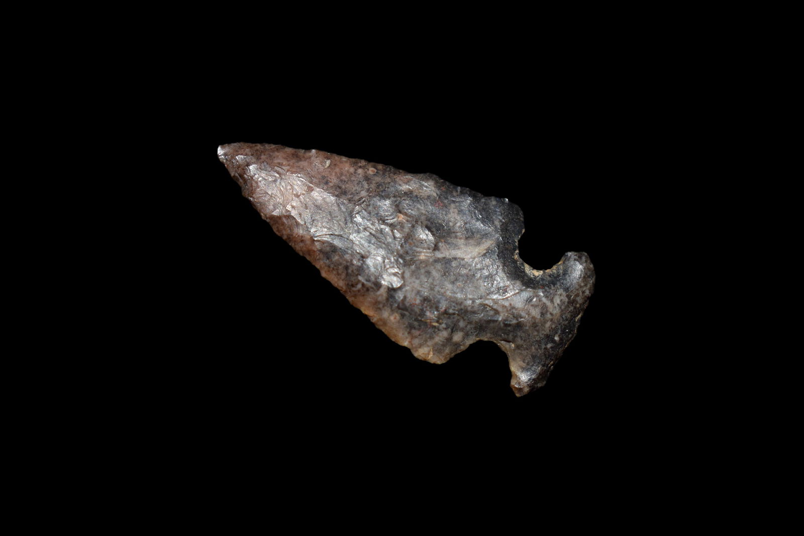 1 1/8" Birdpoint, found in Madison Co., Illinois, High (1 of 5)