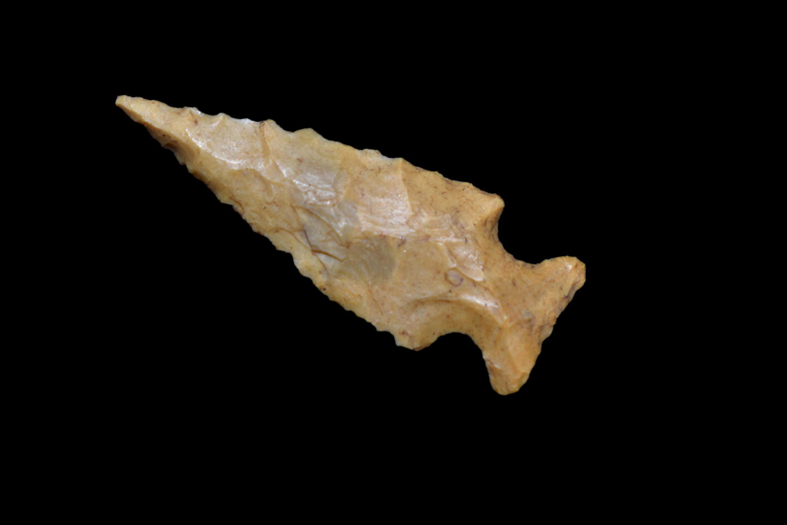 1 1/4" Birdpoint, found in Madison Co., Illinois, High (1 of 5)
