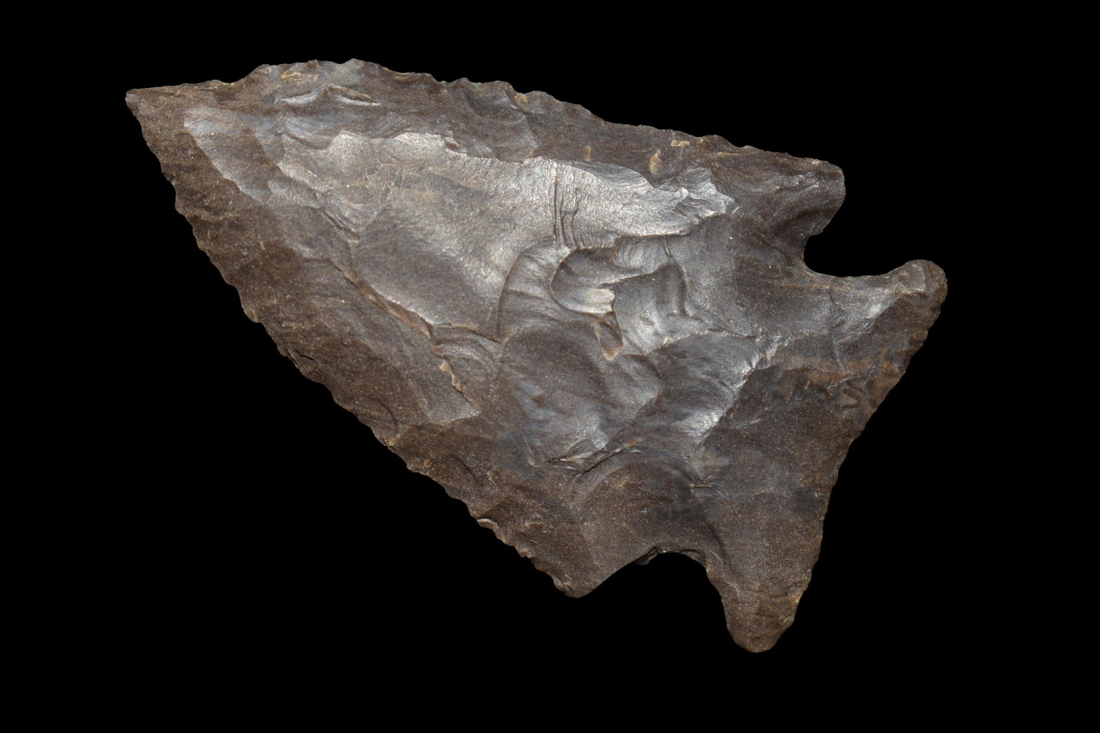 NICE 2" STILLWELL FOUND IN BENTON/HUMPHREYS COUNTY (1 of 4)