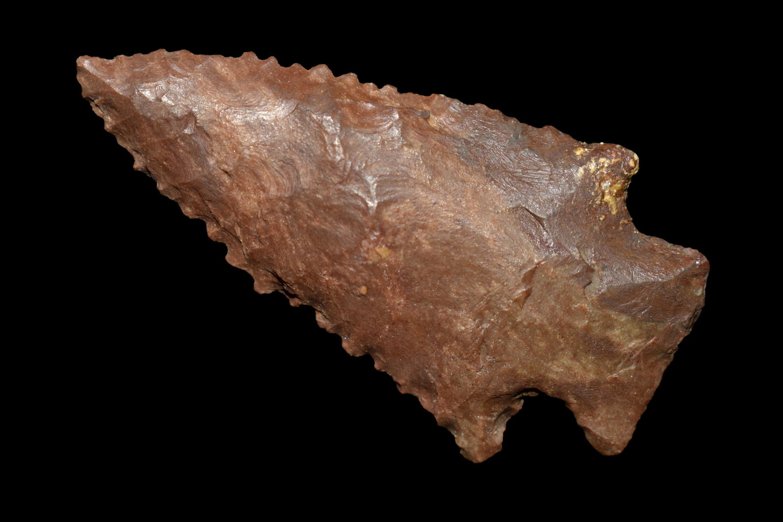 1 7/8" SERRATED KIRK FOUND IN BENTON/HUMPHREYS COUNTY (1 of 4)