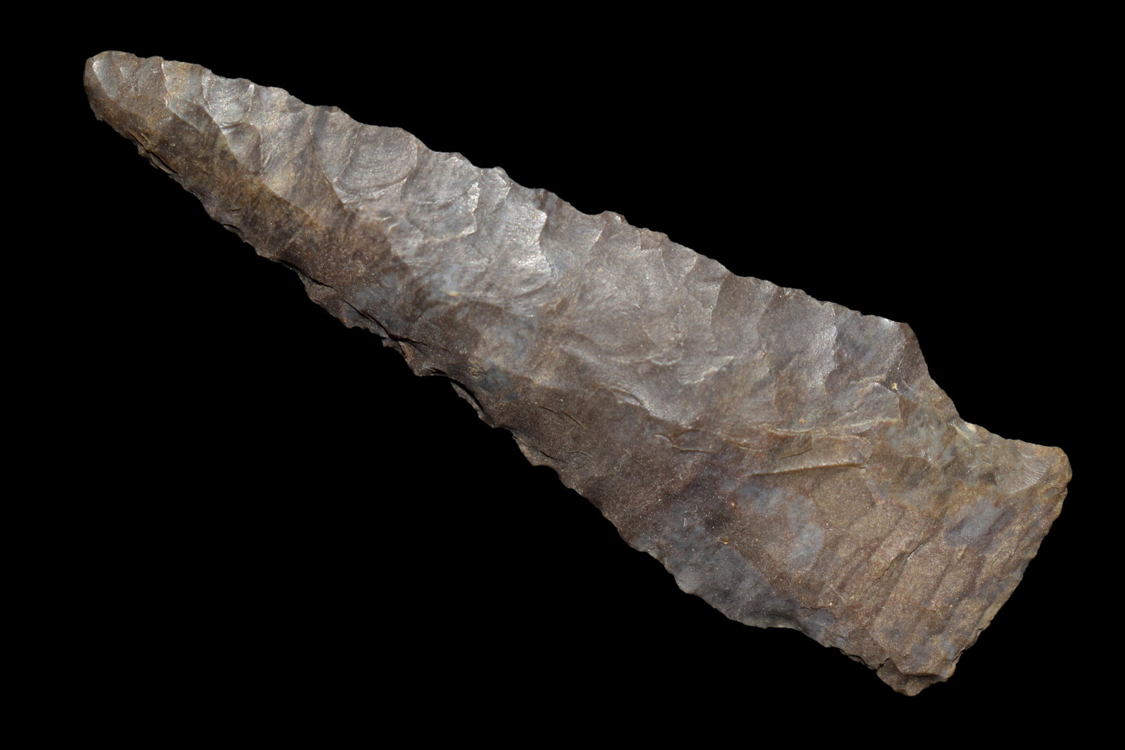 AMAZING 2 5/8" HARPETH RIVER FOUND IN BENTON/HUMPHREYS (1 of 4)