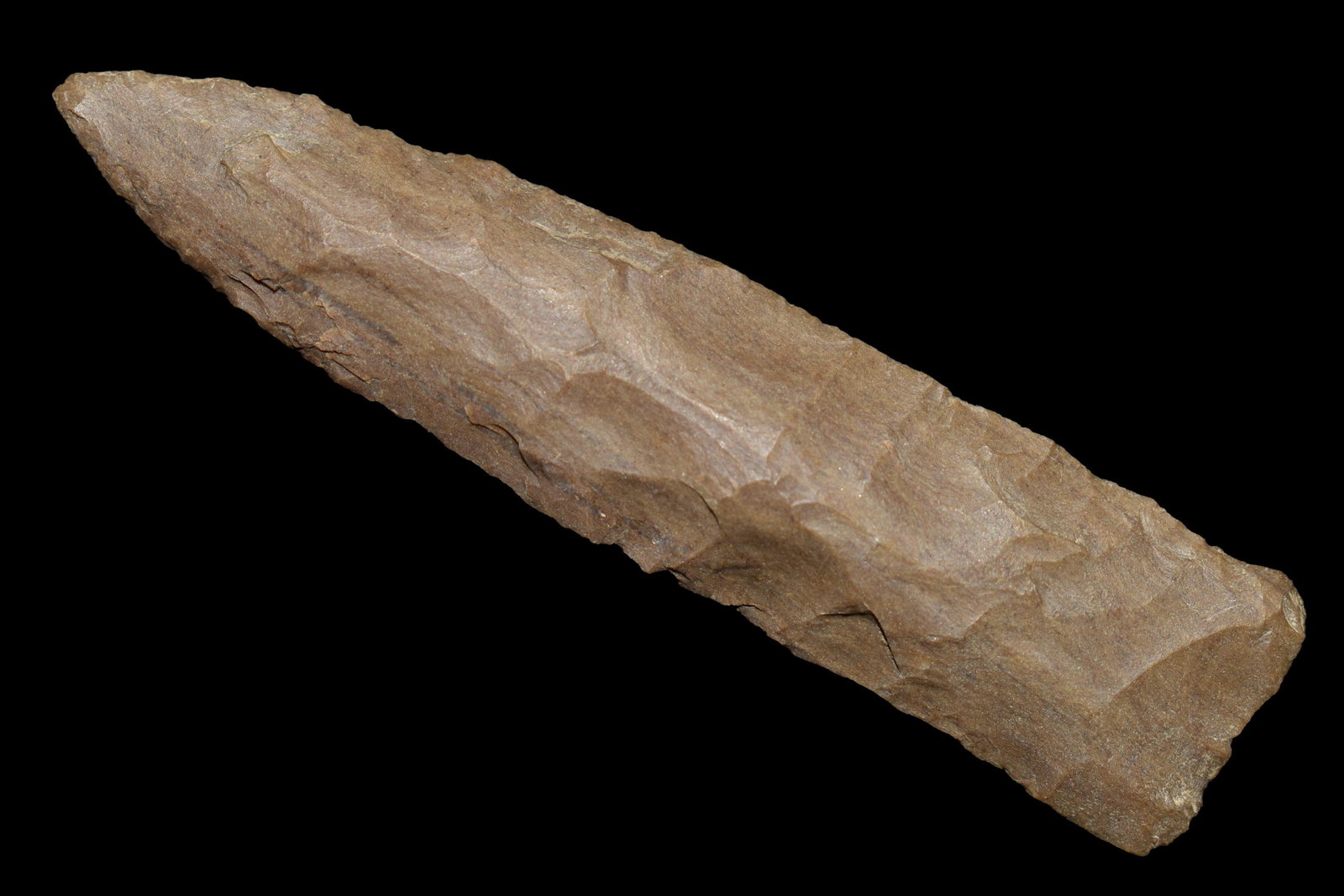 INCREDIBLE 3" LONG COPENA FOUND IN BENTON/HUMPHREYS (1 of 4)