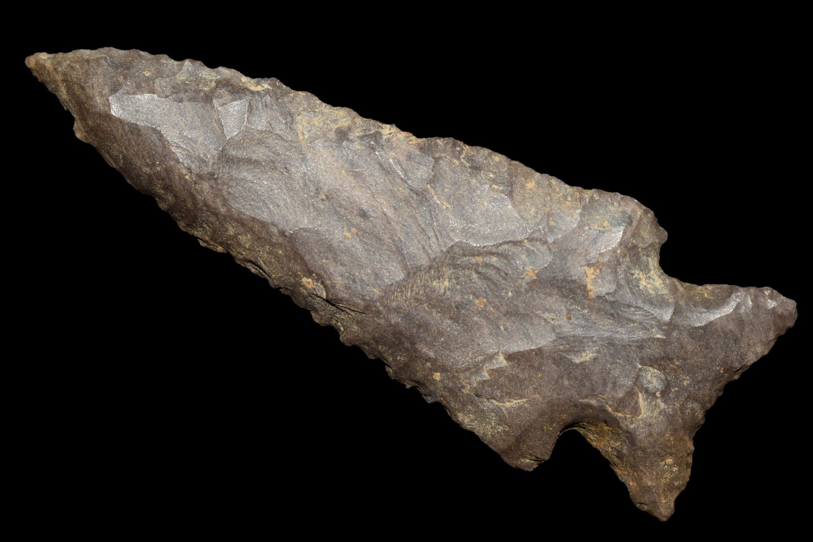 AMAZING 2 3/4" STILWELL FOUND IN BENTON/HUMPHREYS (1 of 4)