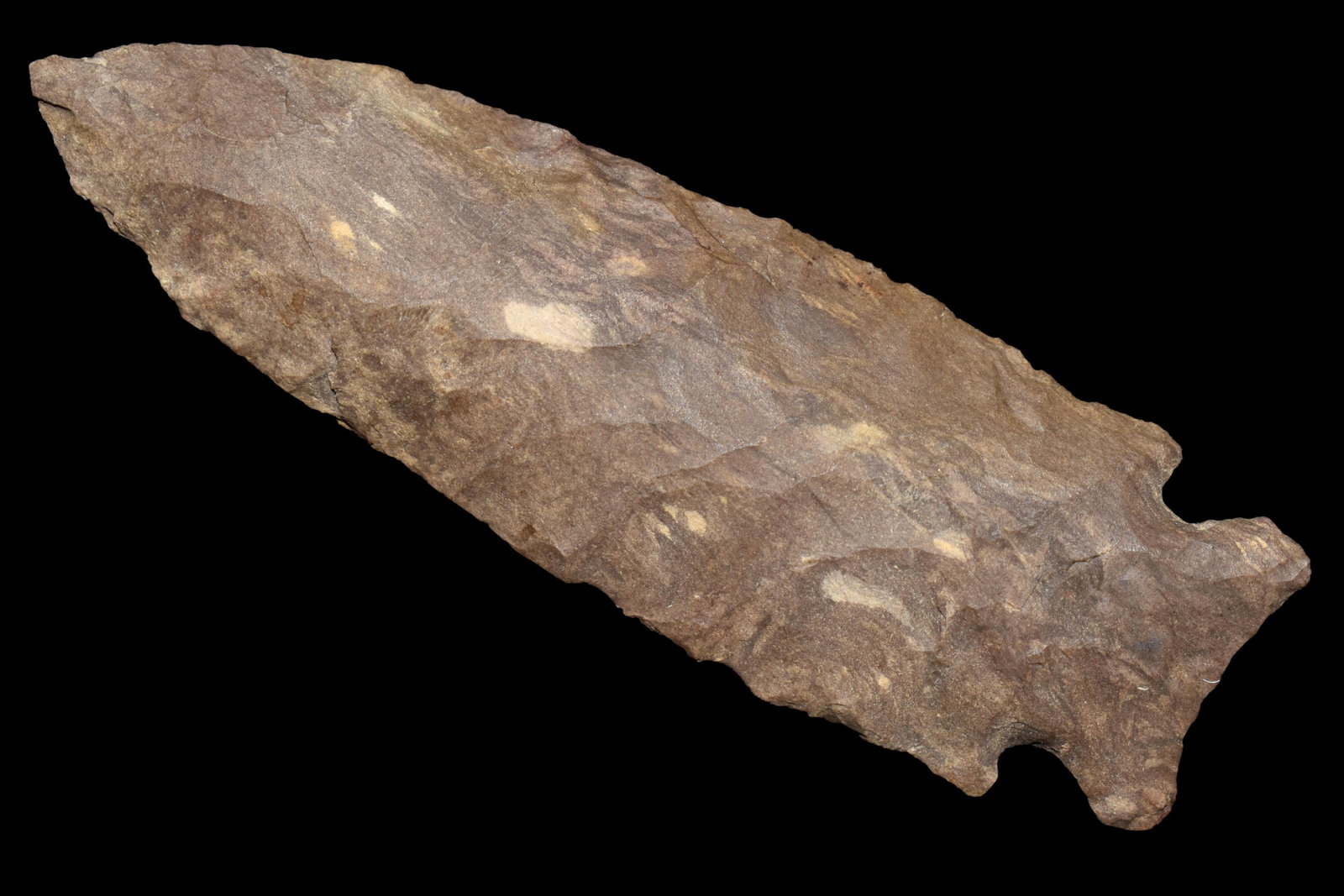 INCREDIBLE 4 1/4" STILLWELL FOUND IN BENTON/HUMPHREYS (1 of 4)