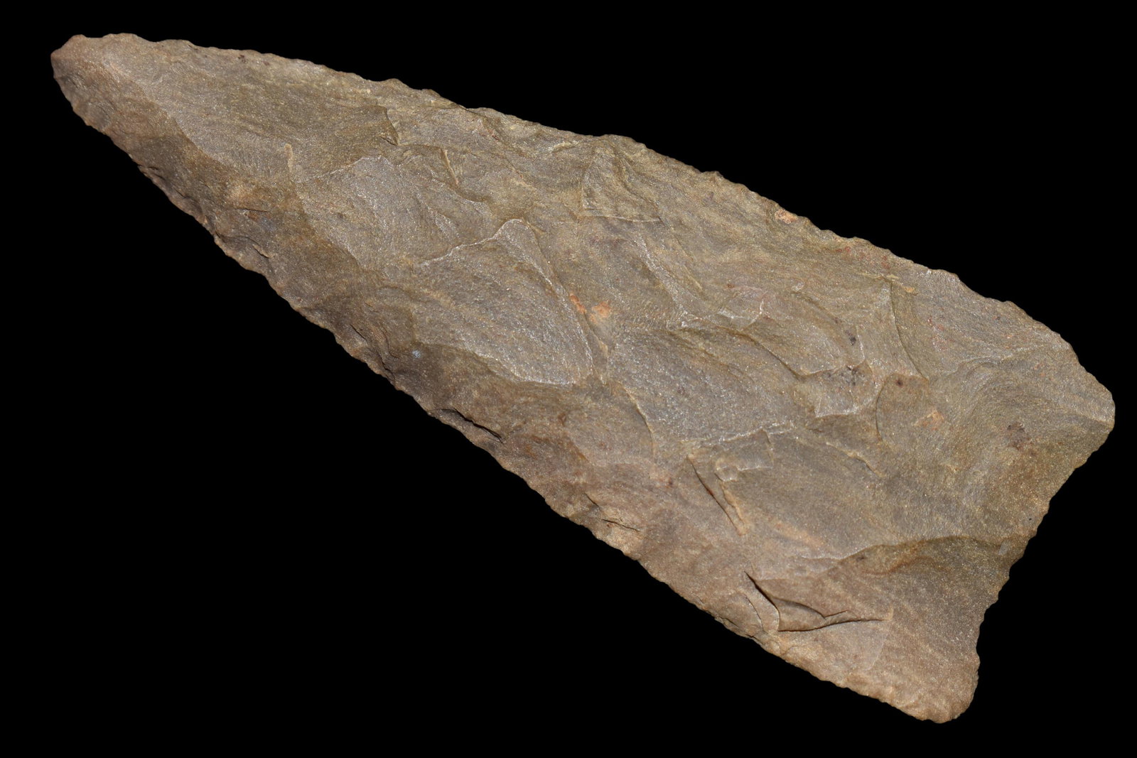 INCREDIBLE 3 5/8" TRANSITIONAL PALEO HAW RIVER BLADE (1 of 4)