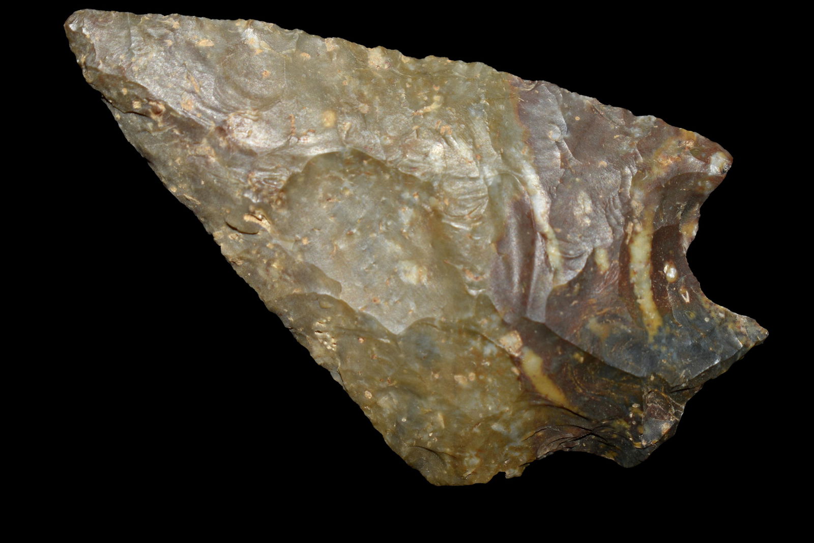 COLORFUL 2 3/8" LIMESTONE FOUND IN BENTON/HUMPHREYS (1 of 4)