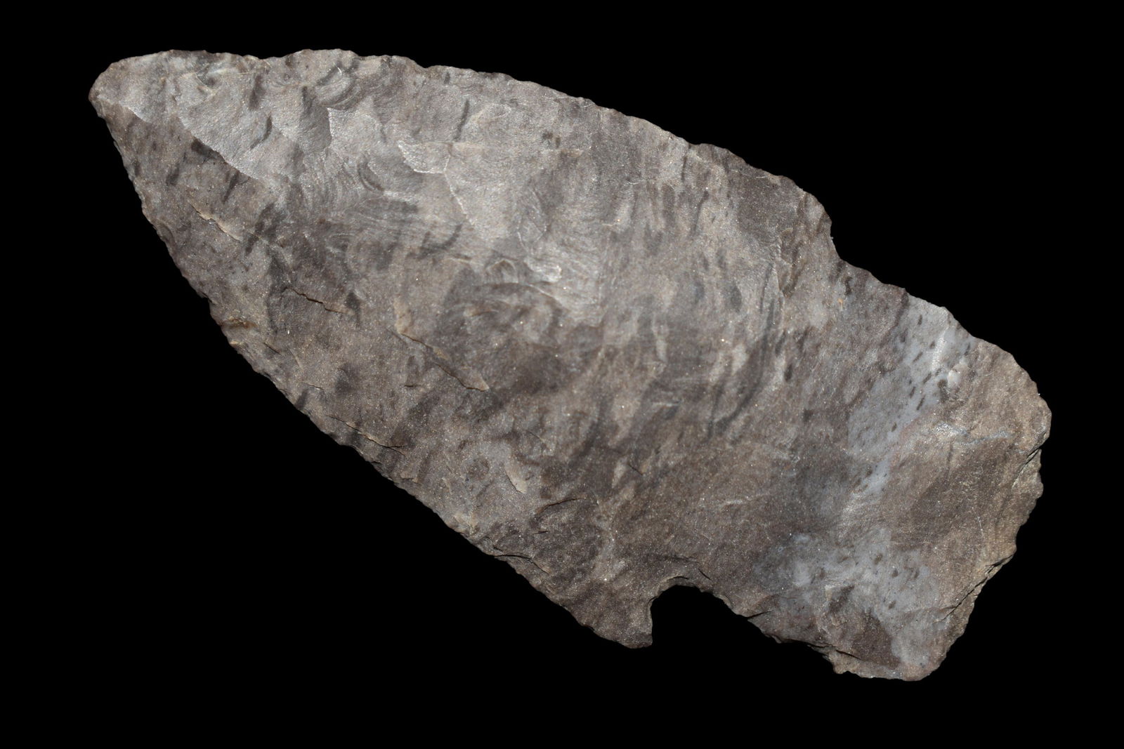 2 1/2" MULBERRY CREEK FOUND IN BENTON/HUMPHREYS COUNTY: 2 1/2" MULBERRY CREEK FOUND IN BENTON/HUMPHREYS COUNTY TENNESSEE, EX SIMMS COLLECTION, NATIVE AMERICAN INDIAN ARROWHEAD