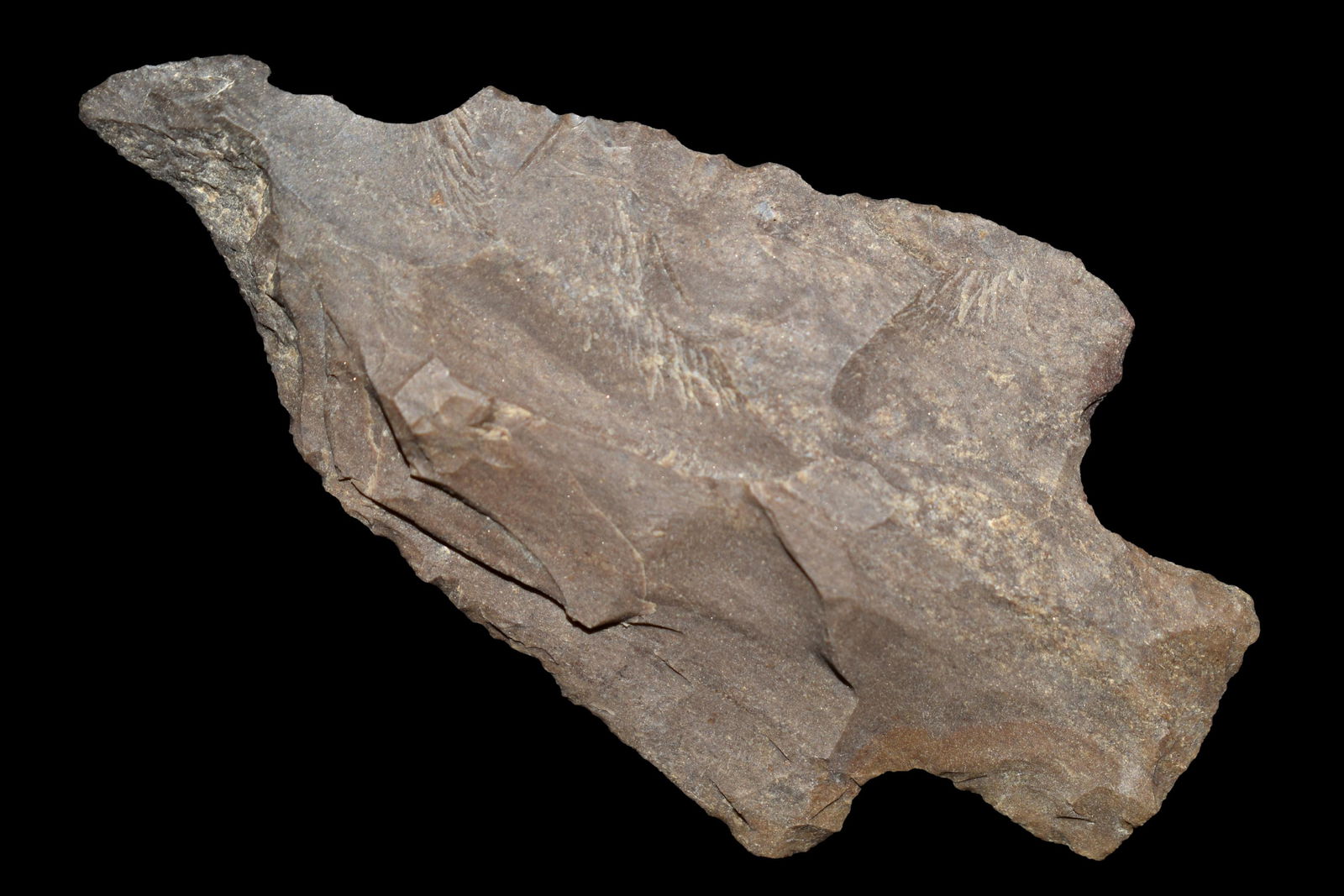 2 15/16" MULBERRY CREEK FOUND IN BENTON/HUMPHREYS (1 of 4)