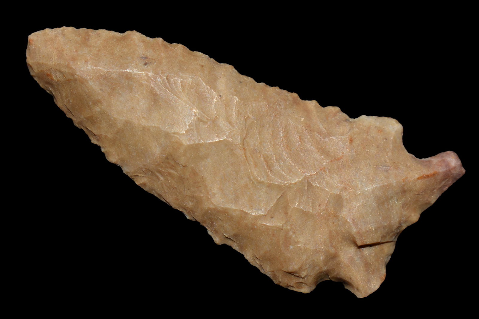 2 5/8" STILLWELL FOUND IN BENTON/HUMPHREYS COUNTY (1 of 4)