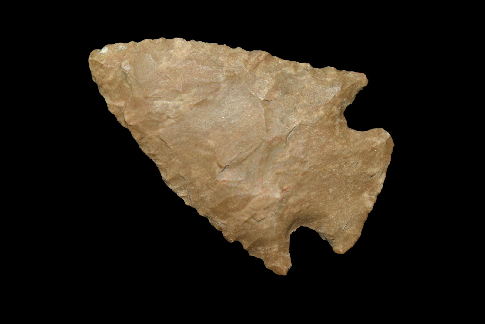 1 9/16" KIRK CORNERNOTCH FOUND IN BENTON/HUMPHREYS (1 of 4)