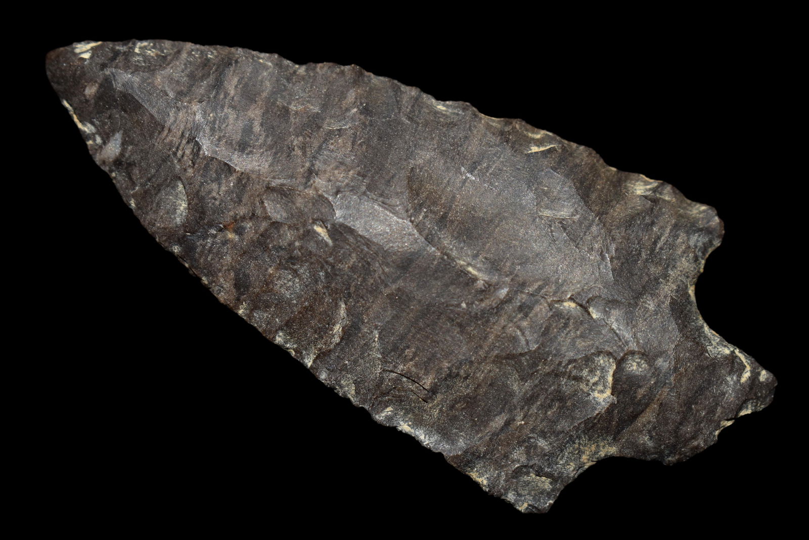 2 7/8" ADENA FOUND IN BENTON/HUMPHREYS COUNTY (1 of 4)