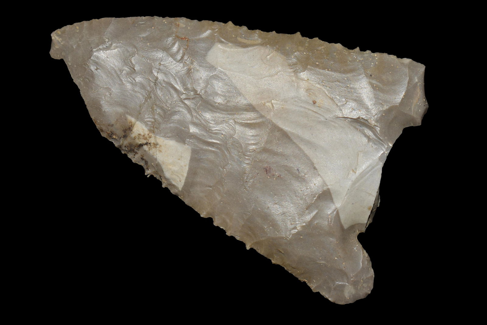 3" LOST LAKE FOUND IN HARDIN COUNTY KENTUCKY, NATIVE (1 of 4)