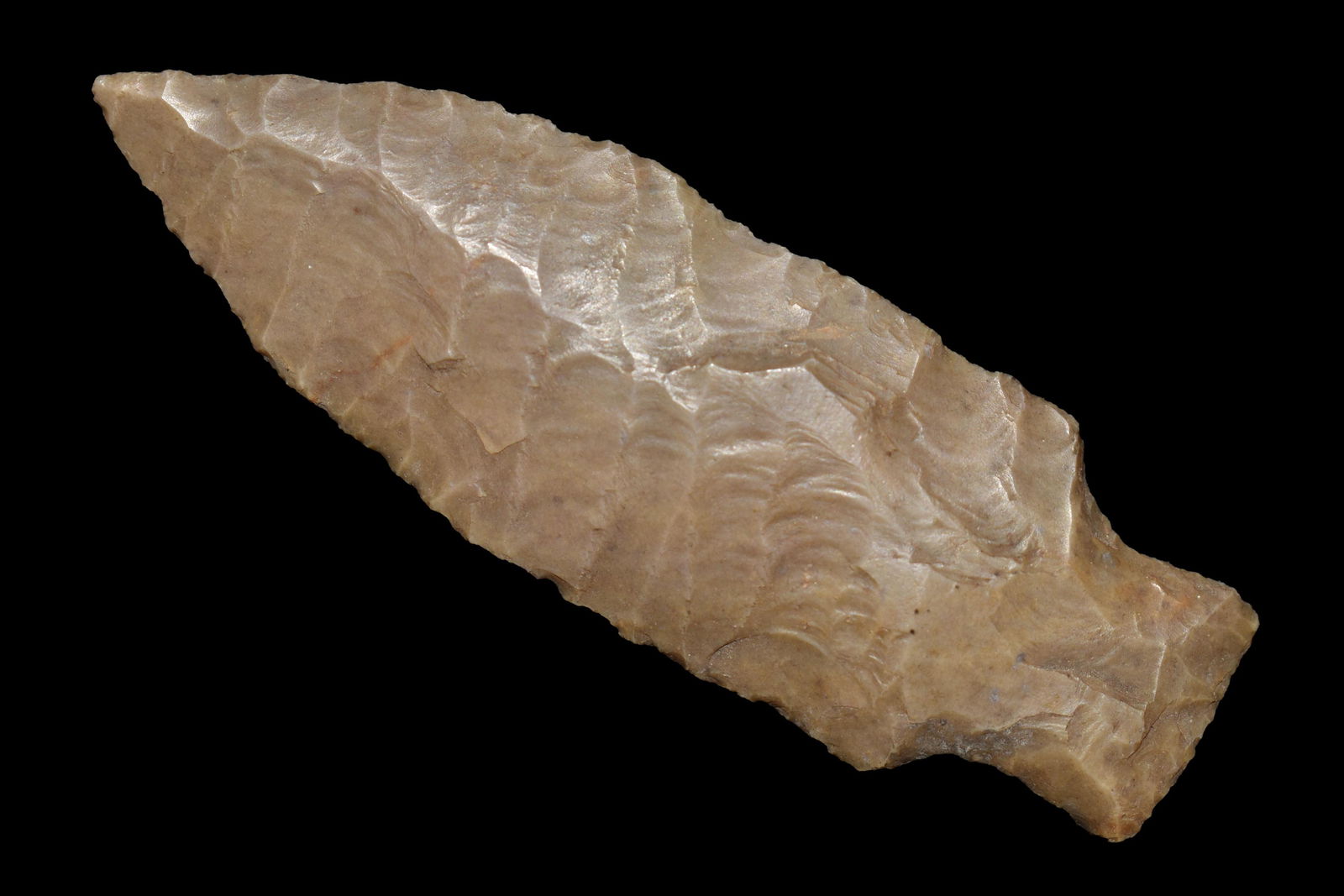 INCREDIBLE 3" ELK RIVER, CLASSIC DIAGONAL PARALLEL (1 of 4)