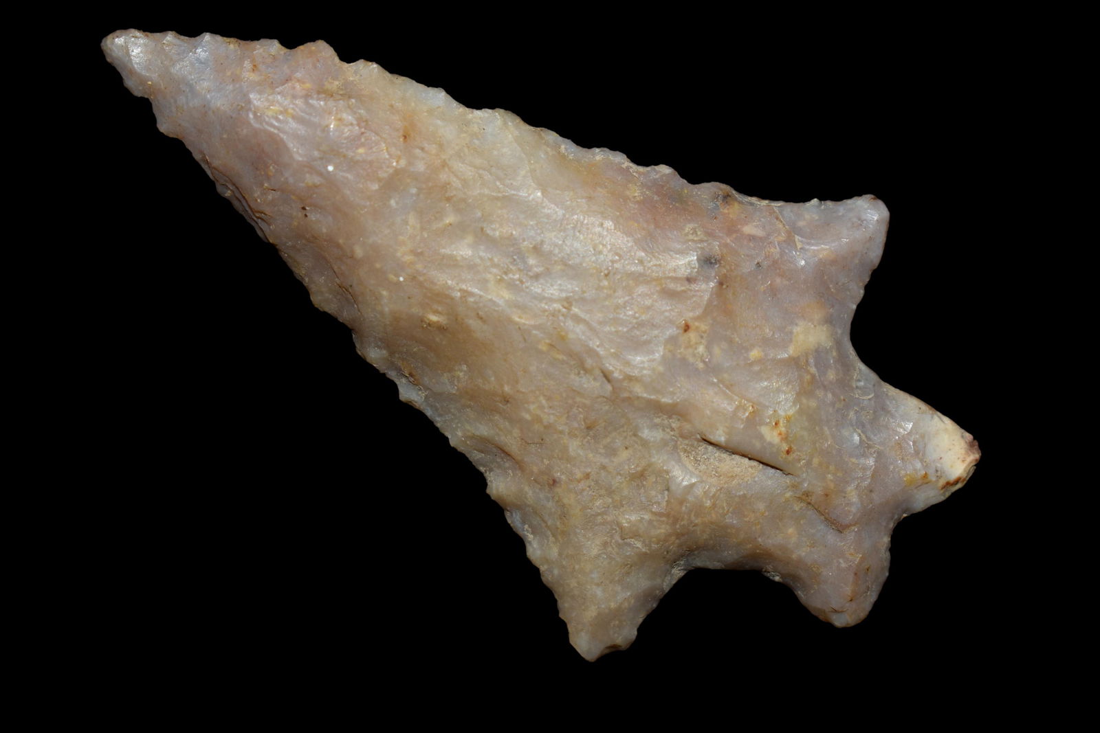 INCREDIBLE 2 3/16" COLORFUL KIRK STEMMED SERRATED FOUND (1 of 4)