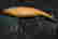 item-107536830=2