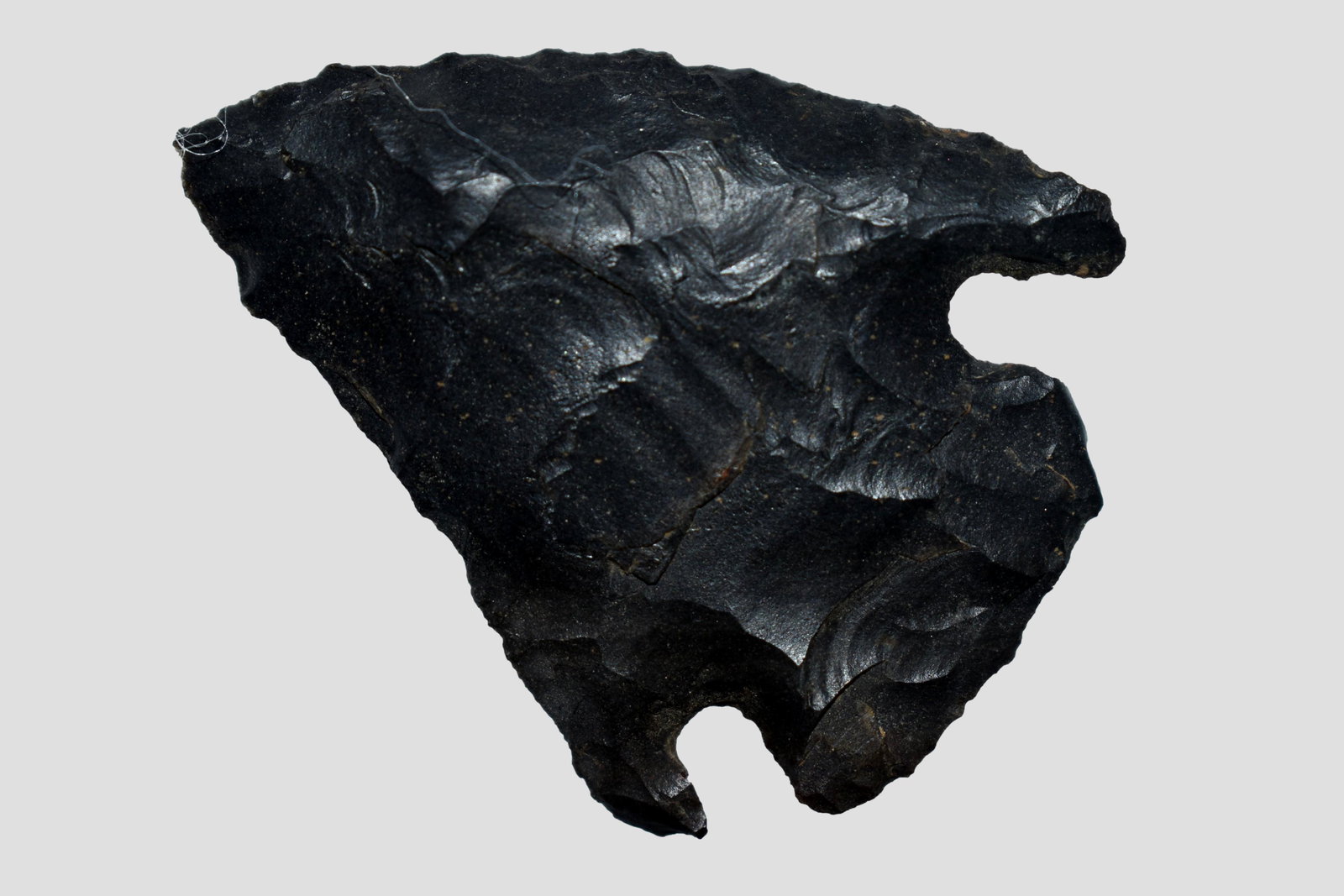 1 3/4" Edgewood, from Northeast Arkansas, Authentic (1 of 4)