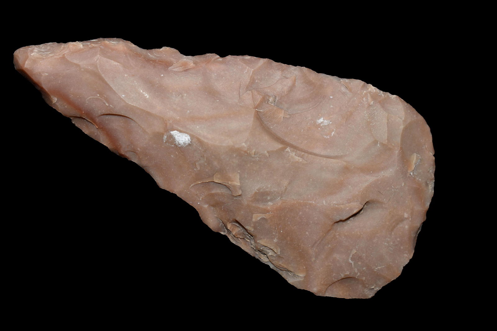 2 3/4" Blade, from Williams Co, Texas, Authentic Native (1 of 4)