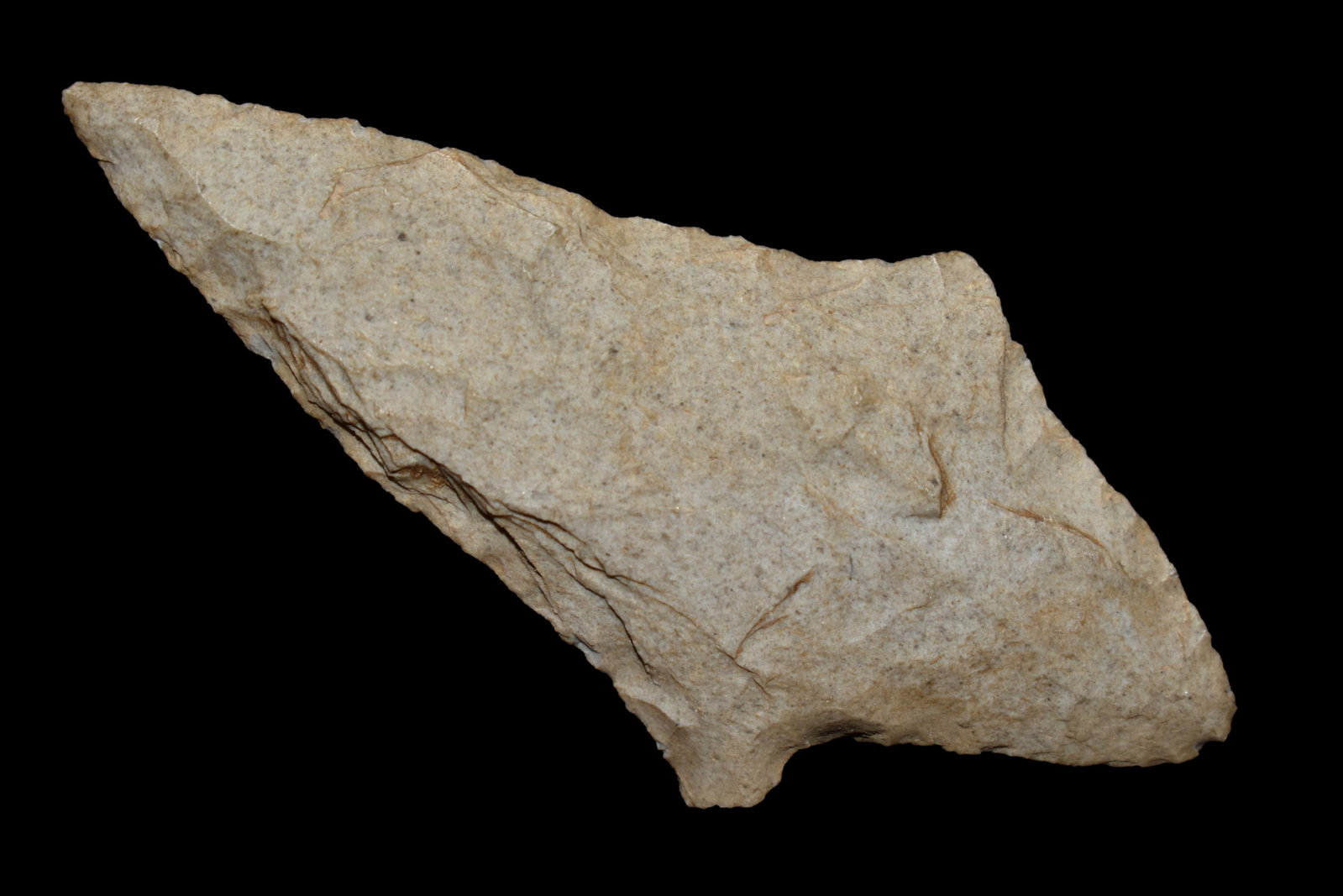 2 7/8" Gary, from Northeast Arkansas, Authentic Native: 2 7/8" Gary, from Northeast Arkansas, Authentic Native American Arrowhead