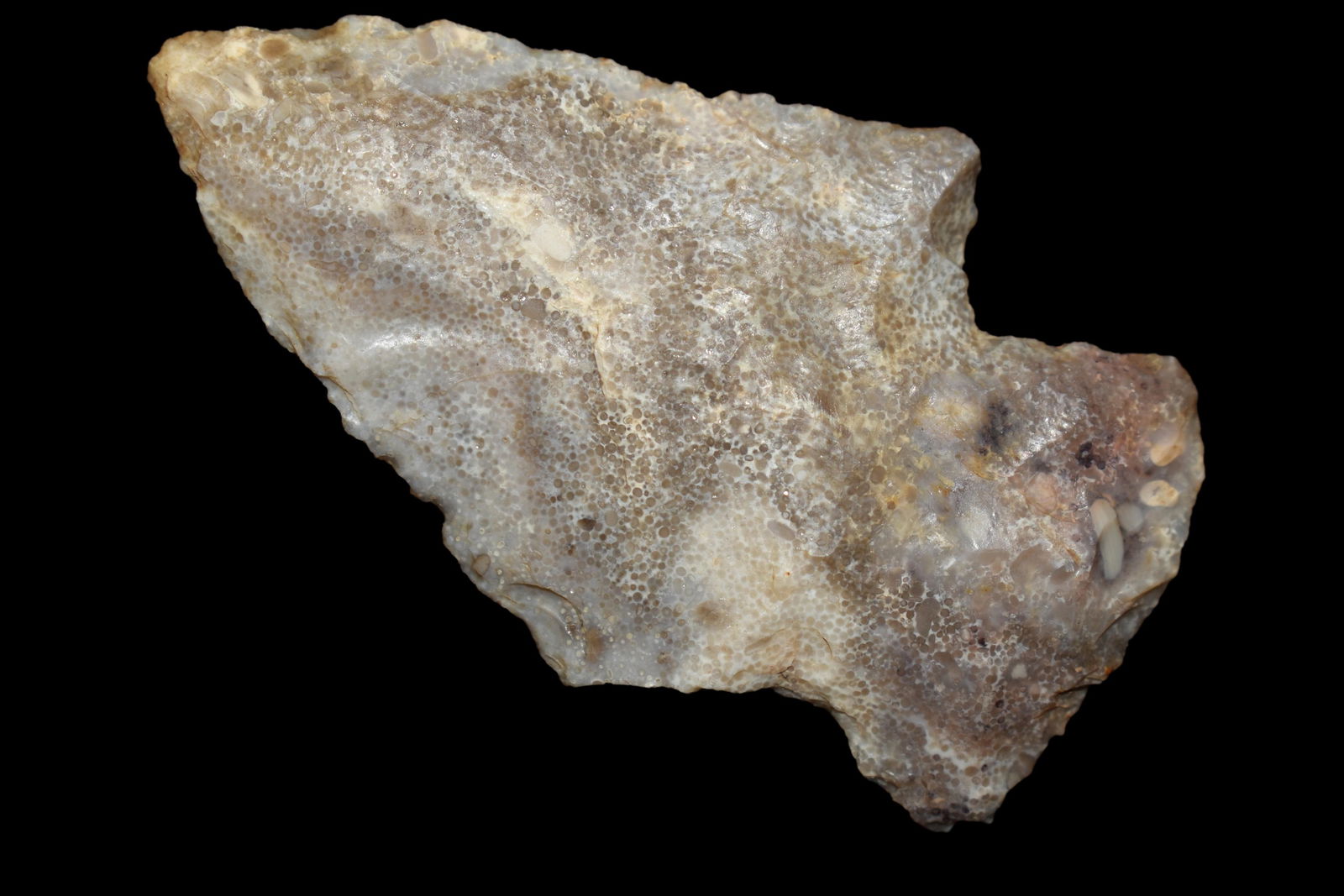 2 1/4" Arrowhead, from Northeast Arkansas, Authentic (1 of 4)