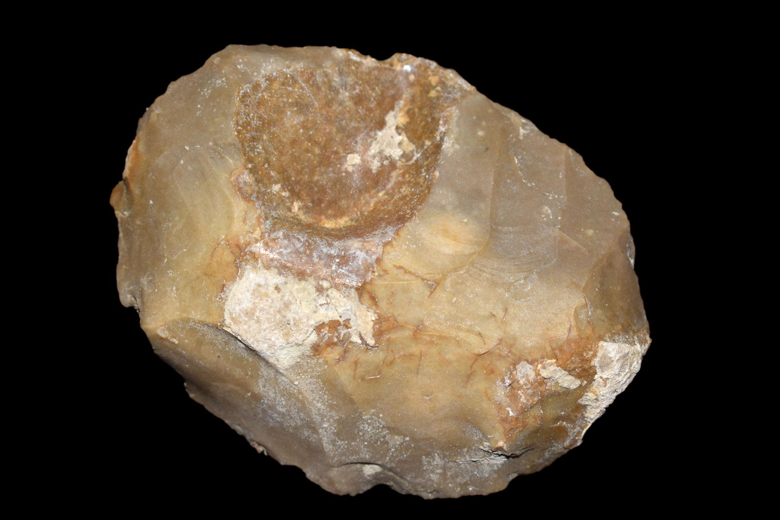 3 1/8" Sundisc, from Northeast Arkansas, Authentic (1 of 4)