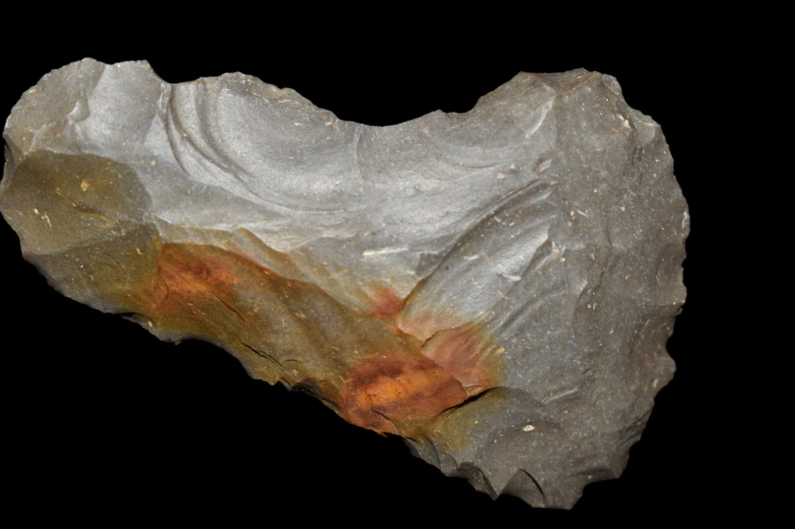 2 3/4" Blade found in Williams Co. Texas, Authentic (1 of 4)