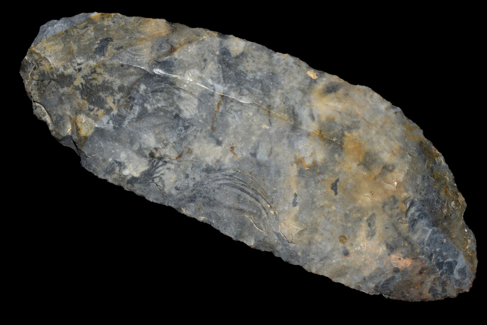 4 1/2" Unifaced Blade found in Ohio made of Coshocton, (1 of 4)