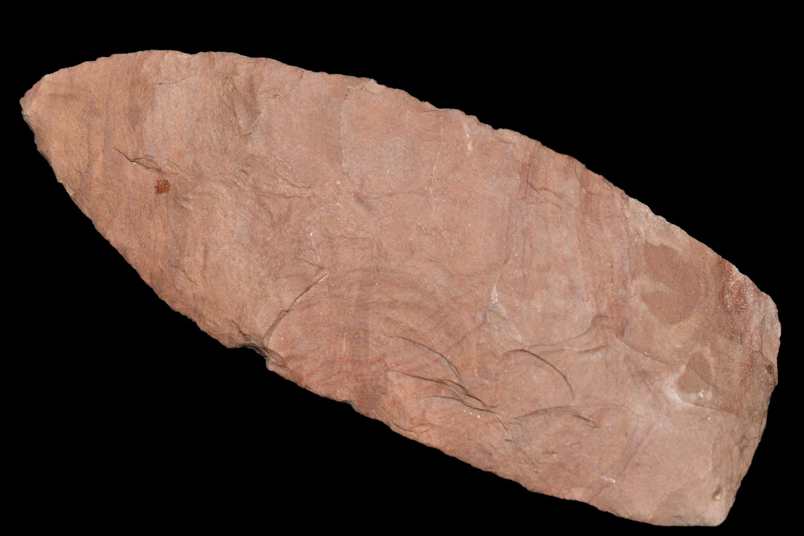 5" Archaic Blade found in Alabama (1 of 5)