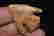 item-108406486=2