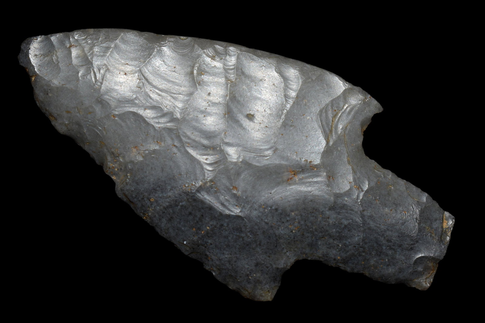 3 1/4" Dickson found in Wabash County, Illinois (1 of 4)