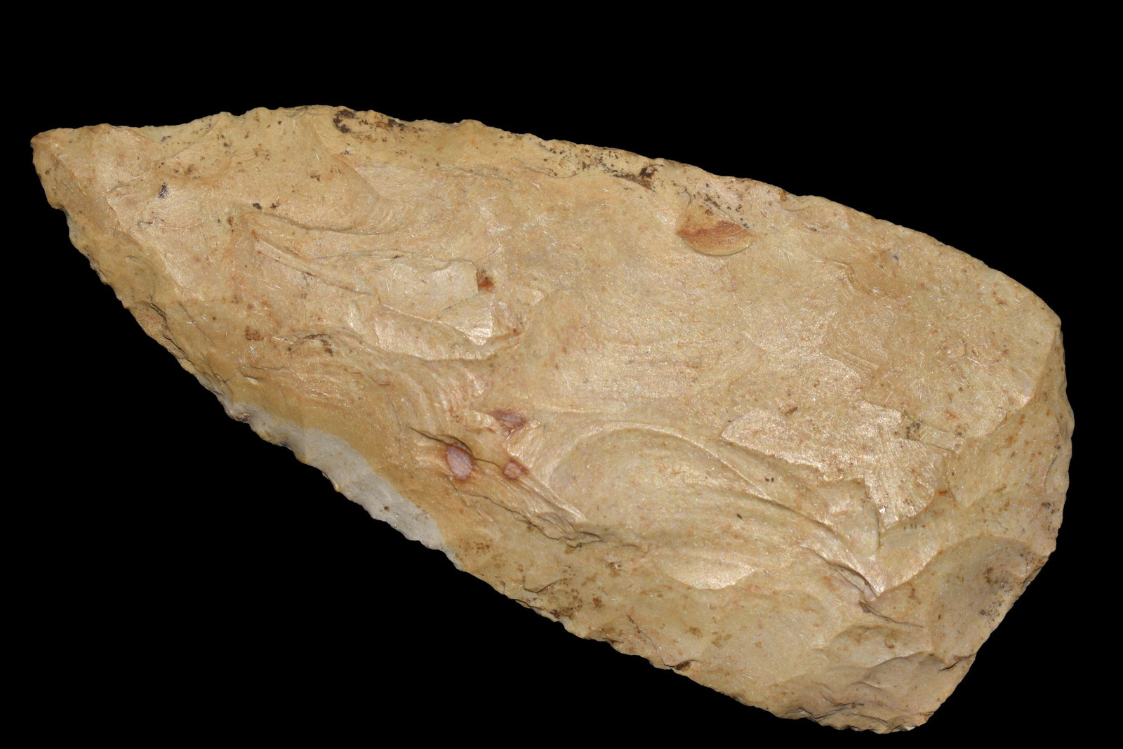 4 1/8" Cobbs Blade found in Lawrence County, Illinois (1 of 4)