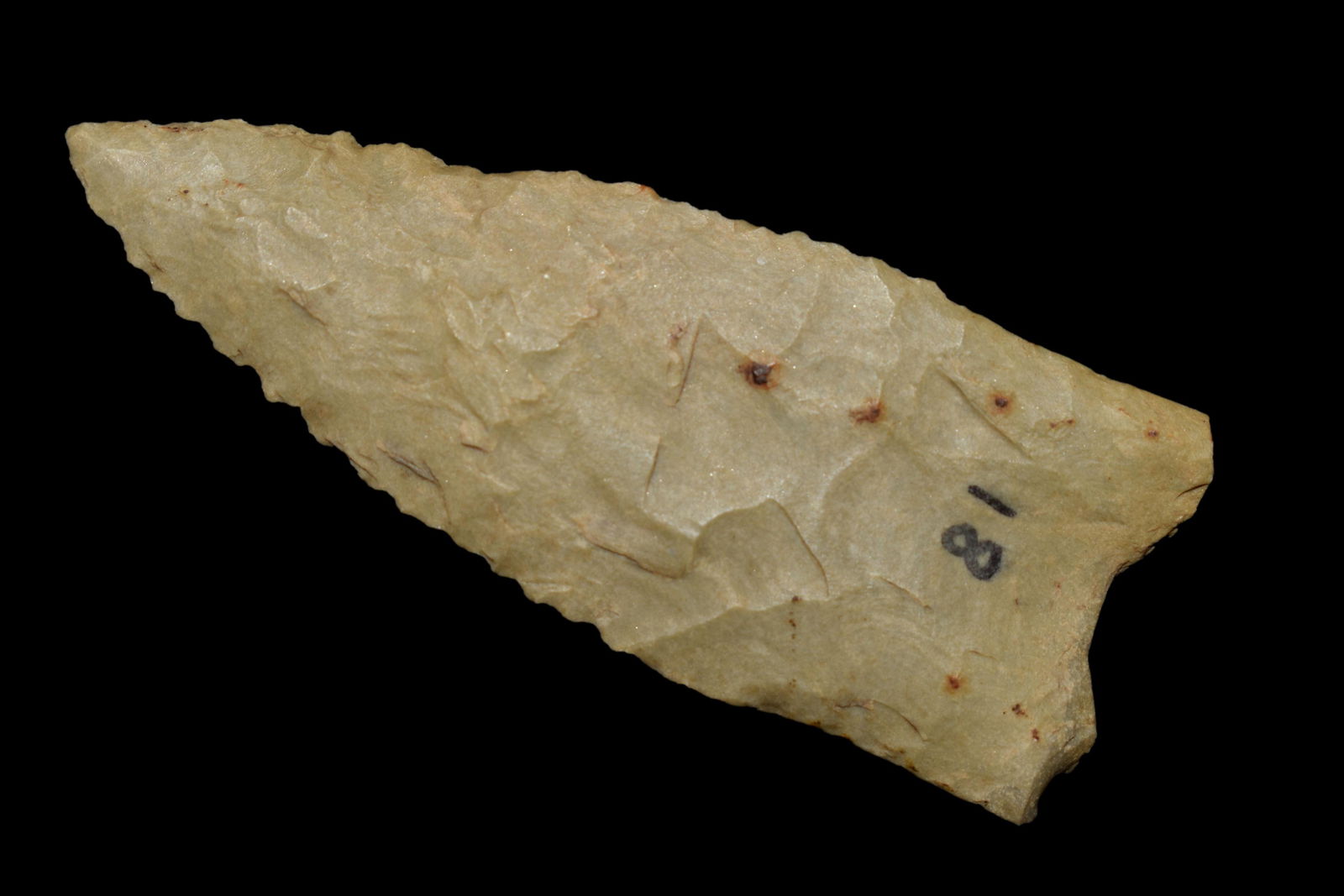 2 1/2" Dalton found in Cross County, Arkansas. ex Josh (1 of 5)