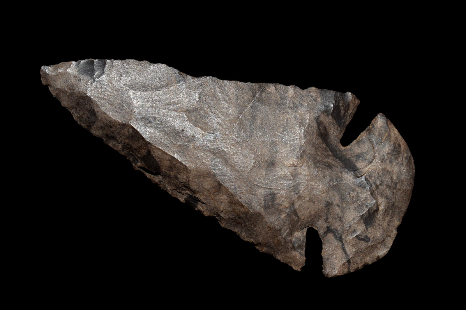 2 3/4" Dovetail Dickey COA found in Butler County, MO (1 of 6)
