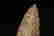 item-108406684=7