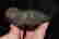 item-108406768=3