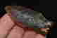 item-108406801=2