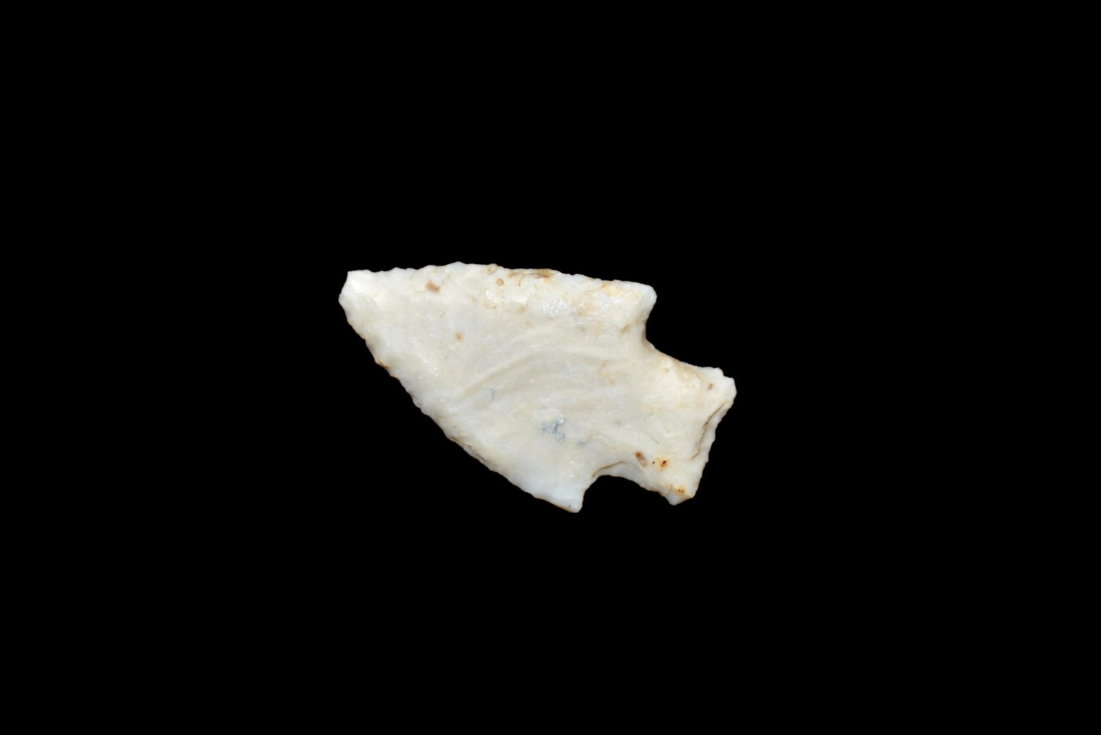 1" Bird point found in Illinois River Valley, ex Tim: 1" Bird point found in Illinois River Valley, ex Tim Terwelp