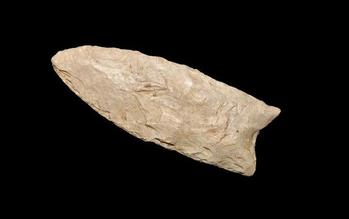 1 3/4" Transitional Paleo Point Saline County Illinois (1 of 4)