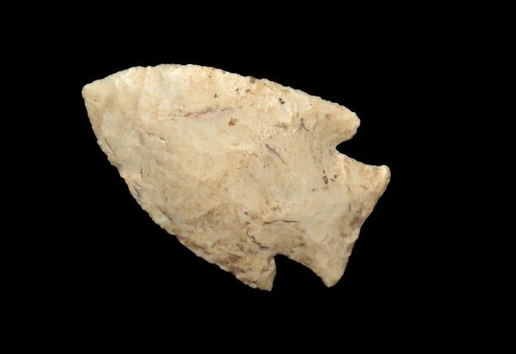 2 1/4" Barbed Harden Saline County Illinois Ex (1 of 4)