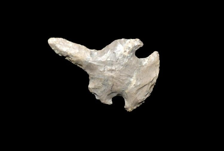 1 1/2" Dovetail Drill Saline County Illinois (1 of 4)