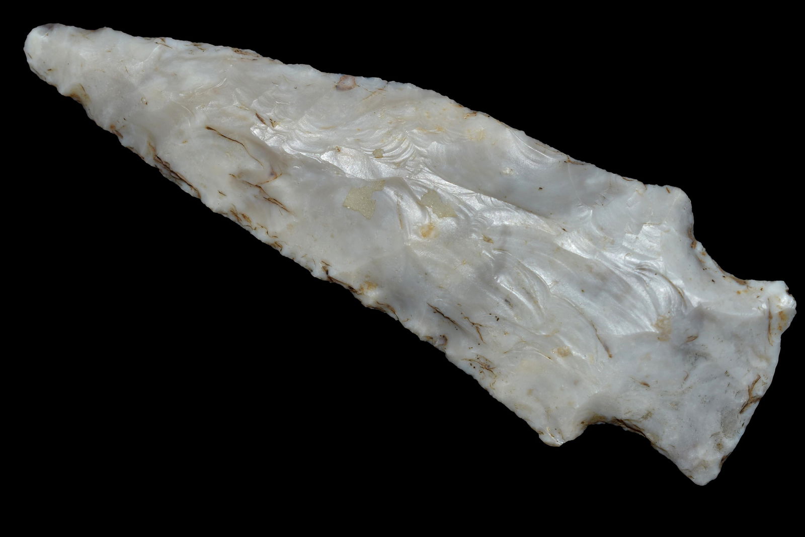 3 5/8" Etley, Motley COA, Recovered in Osage Co. (1 of 5)