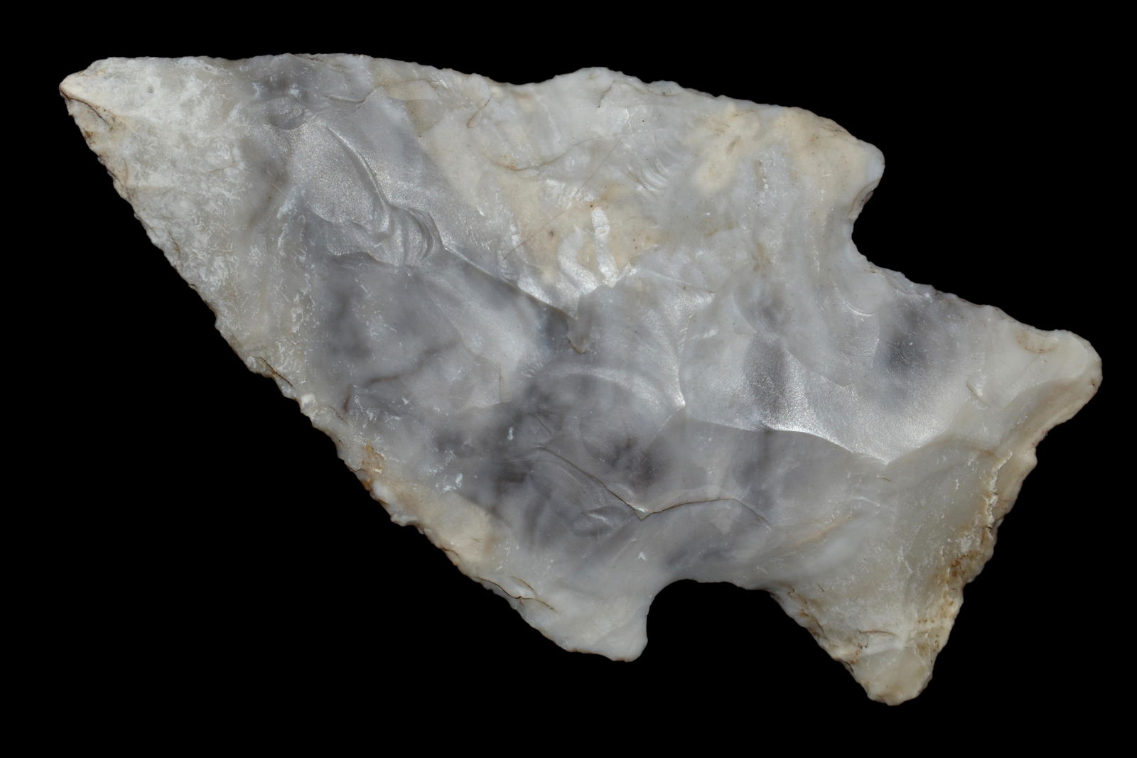 2 1/2" Etley, Motley COA, Recovered in Cooper Co. MO, (1 of 5)